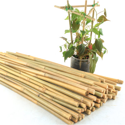 50Pcs 18 Inch Bamboo Plant Stakes