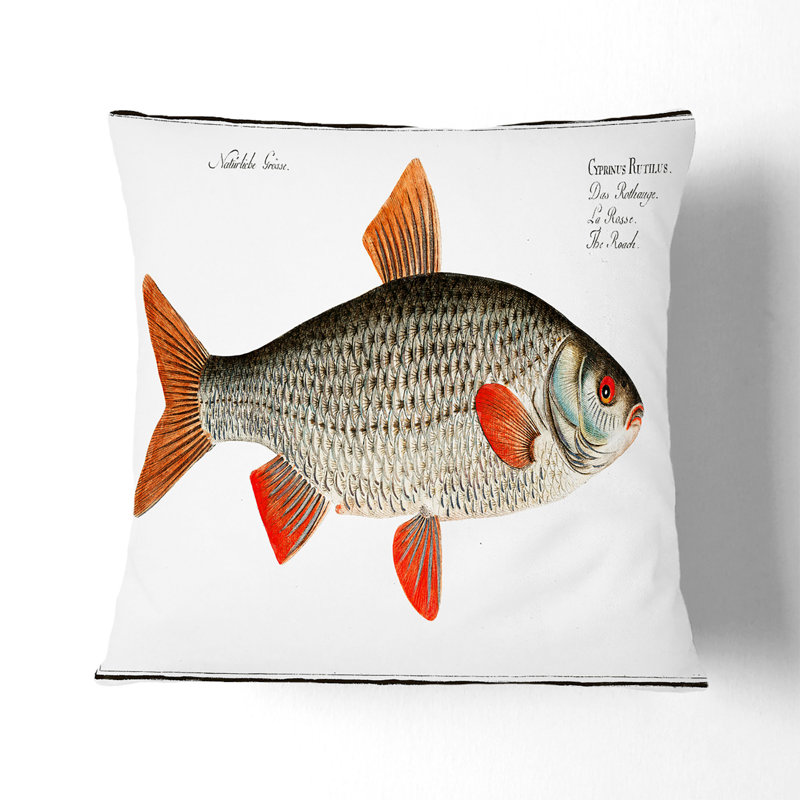 Square Throw Cushion, 55cm H x 55cm W x 20cm D