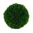 6.5 " H Faux Foliage Topiary