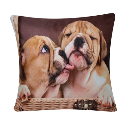 Doshier Animal Print Square Euro Cushion Cover