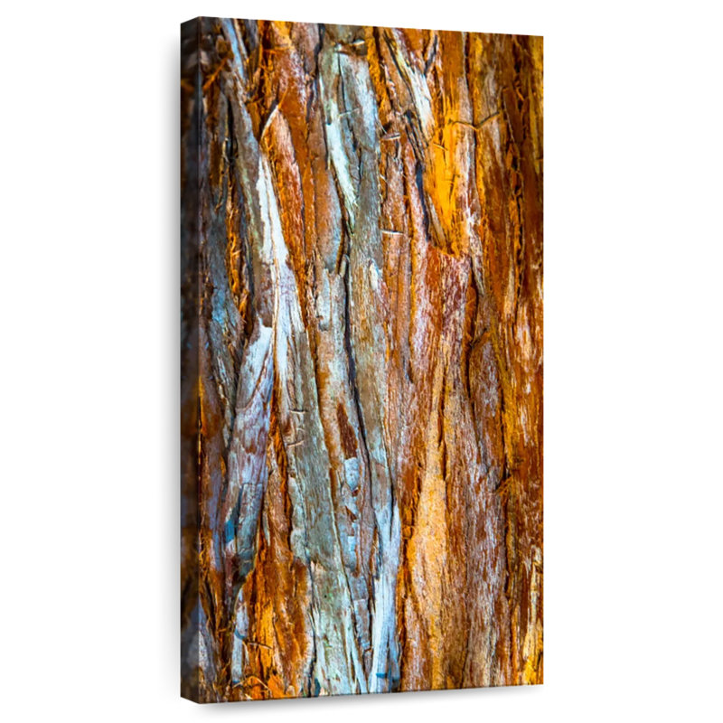 Abstrait d'écorce d'arbre, H 30 po x l 15 po
