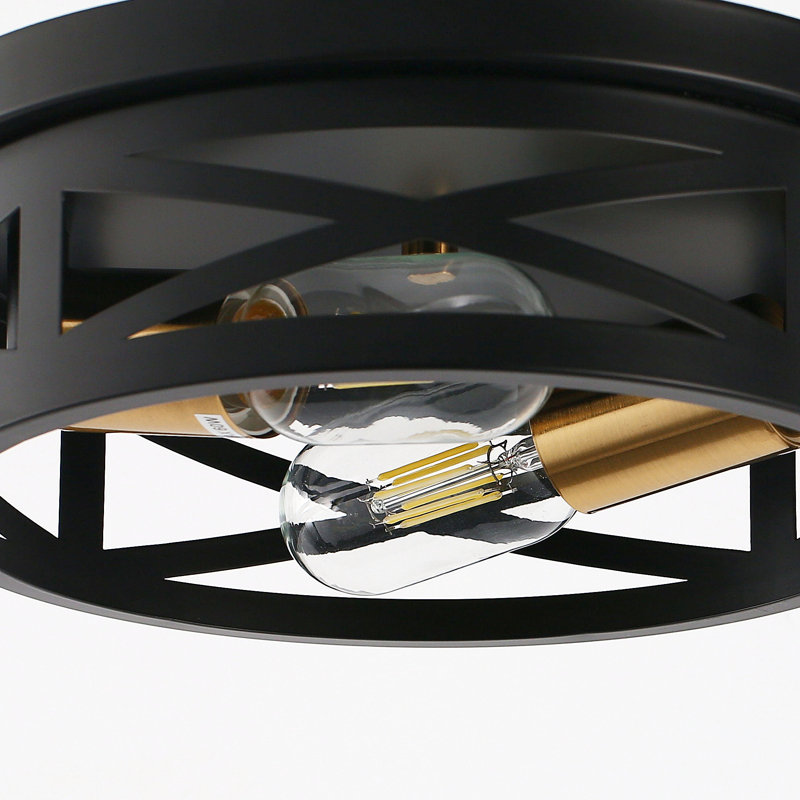 Craspedia 2-Light Drum Farmhouse Flush Mount, Matte Black/Gold