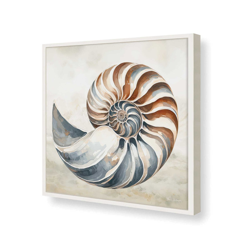 «Cape Cod Shell» par Nicole DeCamp, reproduction d'art, L 20 po x H 20 po, Impression encadrée, Blanc