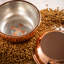 Pet Bowl