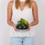 Plante grasse artificielle 7 po en pot