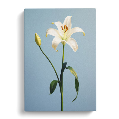 Lily Flower Minimalism - Print