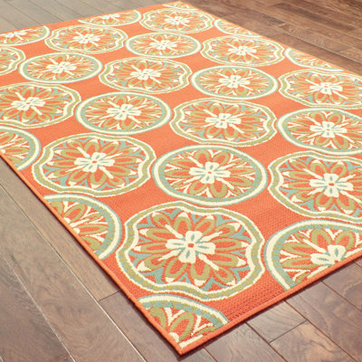 Ashmi Rug