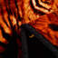 Couverture  Tiger Winter Wram