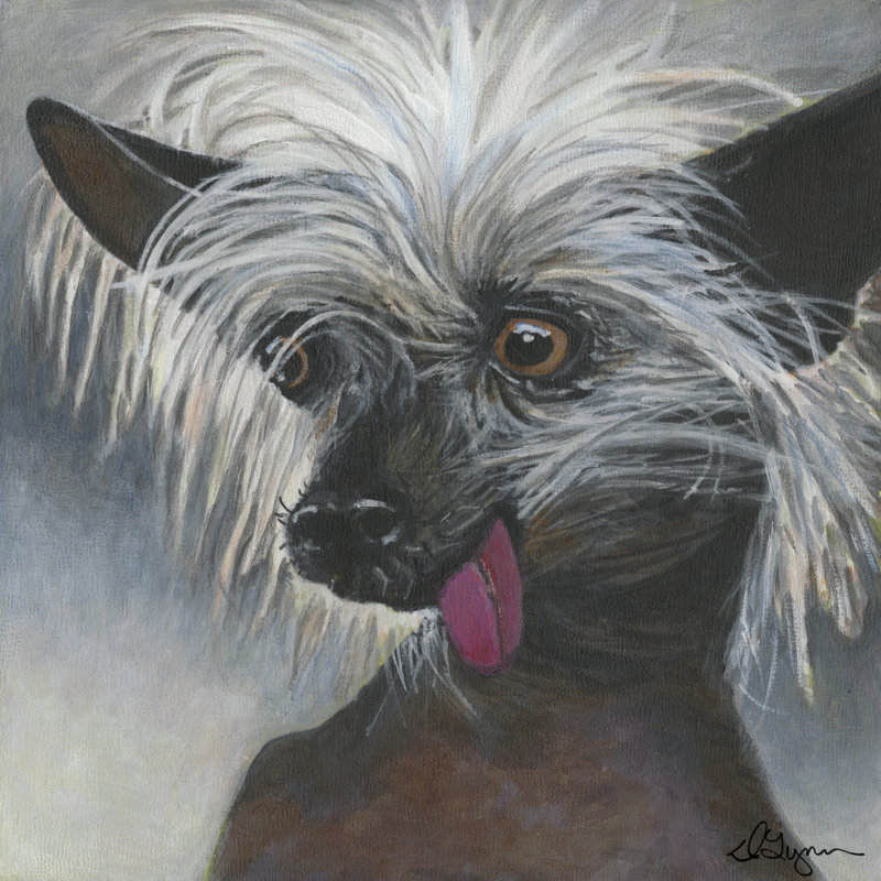 Dlynns Dogs - Poe, H 12 po x l 12 po x P 1,25 po