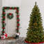 Grand sapin canadien avec lumières claires-850844492