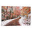 Two Seasons by Ben Heine - Wrapped Canvas Print-42153132