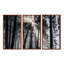 Rayons de soleil à travers la forêt blanche noire - ensemble d'art mural sur toile encadré forêt-480382206-507997681