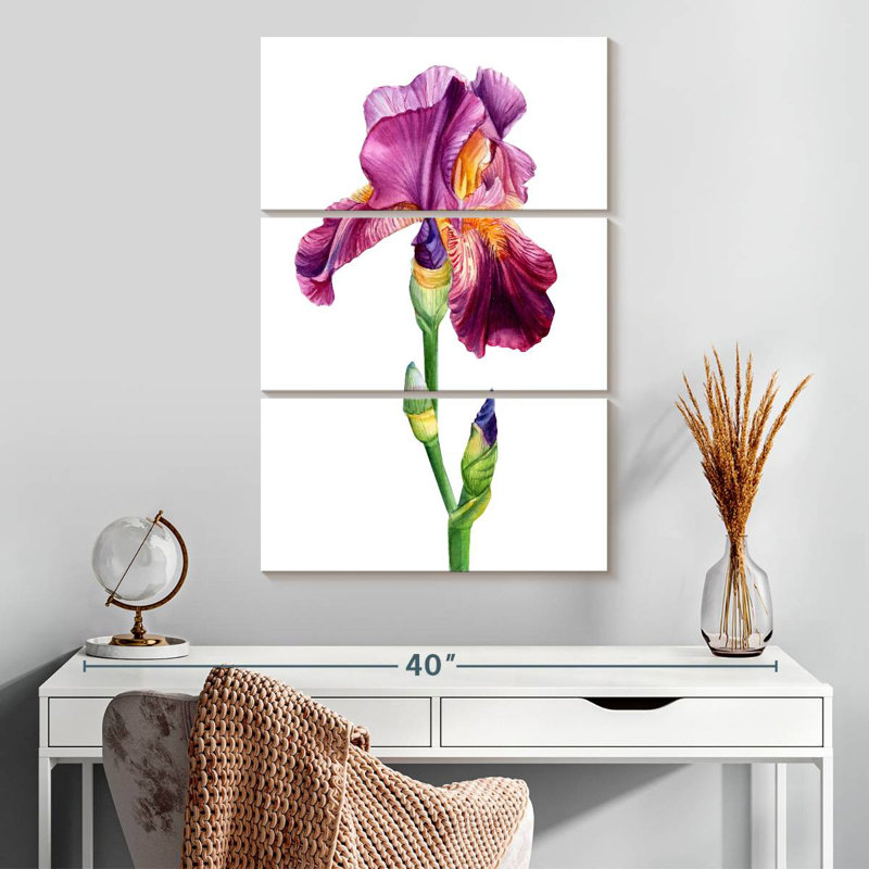 Belle fleur d'iris