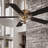 52" Cayman 5 - Blade Standard Ceiling Fan in Brown with Pull Chain and Light Kit Included-1829122833