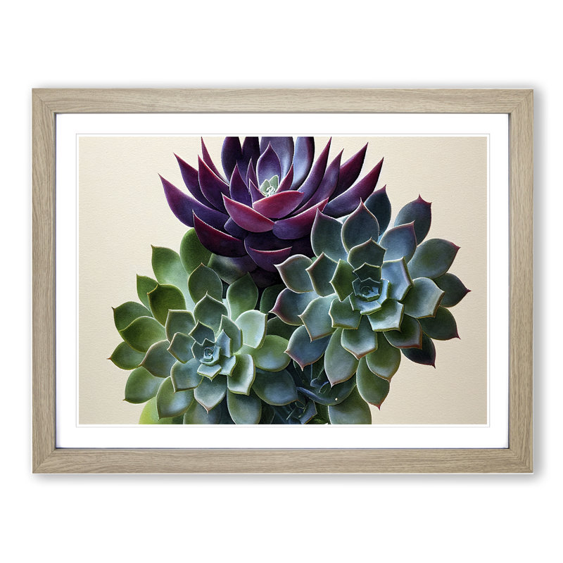 Watercolour Succulent Plant Vol.2 - Framed Print, 46cm H x 64cm W, Grey