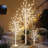 Lighted Trees