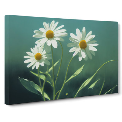 Cosmopolitan Daisy Flowers - Wrapped Canvas