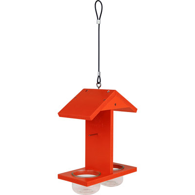 Nature's Way EcoCycle Citrus Sampler Recycled Plastic Orange and Jelly Oriole Bird Feeder, Orange