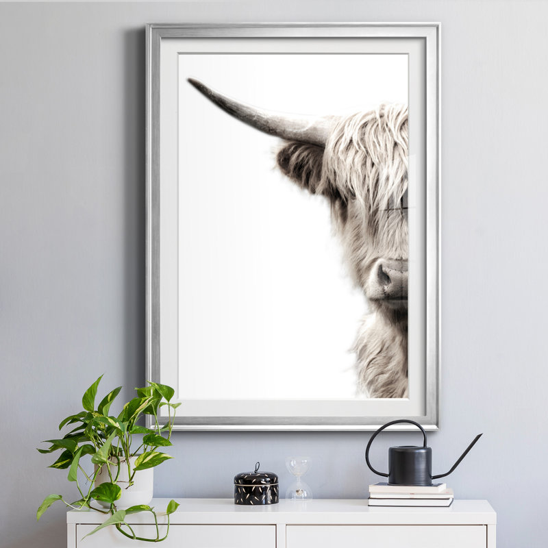 «Highland C best» par Danita Delimont - reproduction de cadre photo, Silver Frame, H 26,5 po x l 36,5 po x P 1,5 po