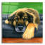 «Cute Shepherd Mix Dog» par Rebecca Wang, art mural en verre acrylique-94716741