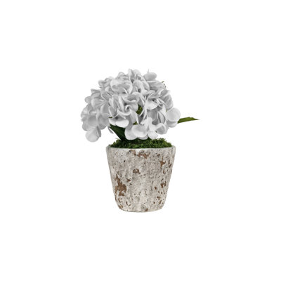 Hortensias blancs dans un pot à fleurs en bois vieilli