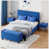 Blue is out of stock selected