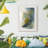 Solar Shapes II -Framed Print