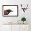 Golden Eagle - Picture Frame Painting Print-55732943-55732942