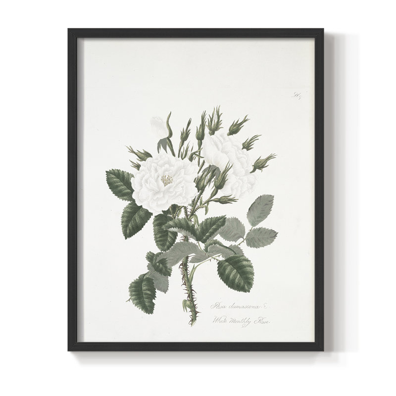Reproduction florale vintage encadrée CCxx - bois massif, Noir, noir, noir, noir, H 30 po x l 24 po
