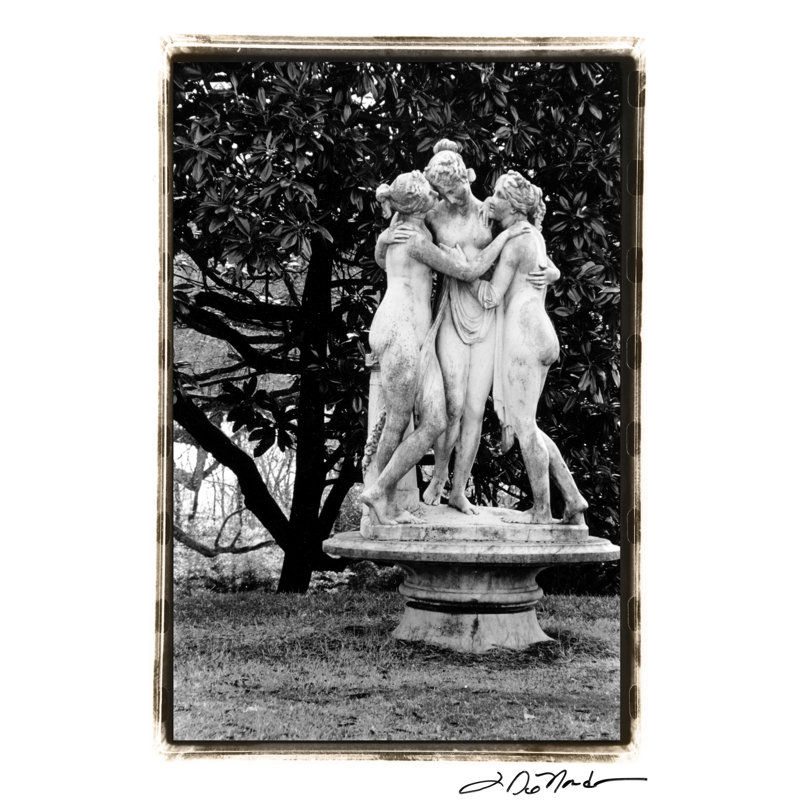 Frolic by Laura DeNardo - Wrapped Canvas Print, 30cm H x 20cm W