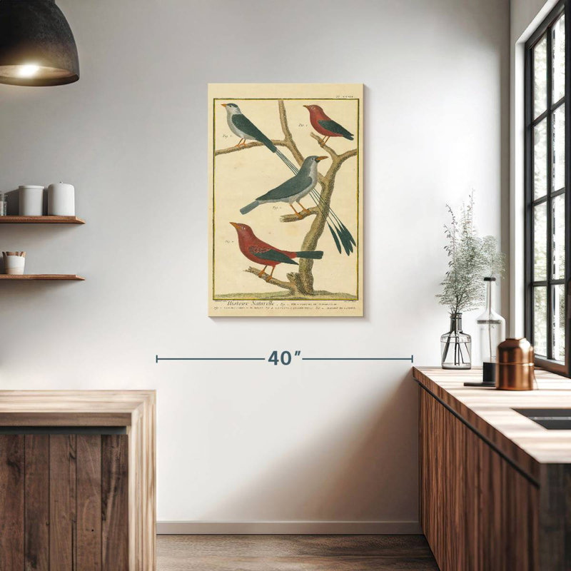 Brampt Bird Drawing I, 36" H x 24" W