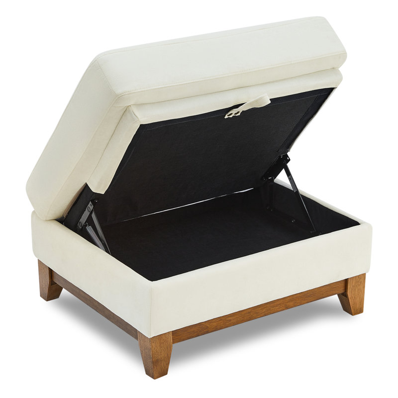 Repose-pieds avec rangement 30,71 po, Lin