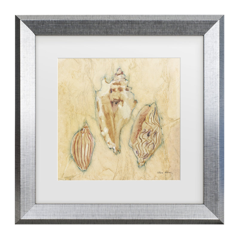 «Cheri Blum Shells I Matted», art encadré, H 14,5 po x l 14,5 po
