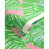 Pink/Green