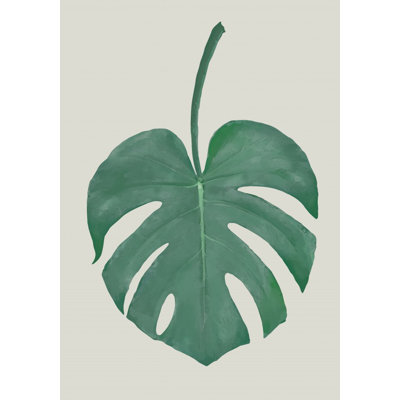Monstera 05