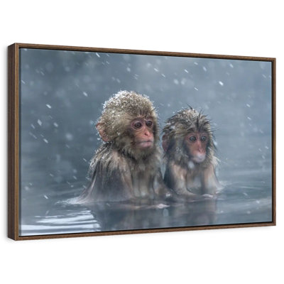 Monkey Duo