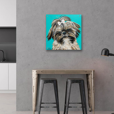 'Girly Shih Tzu' by Carolee Vitaletti Acrylic Glass Wall Art