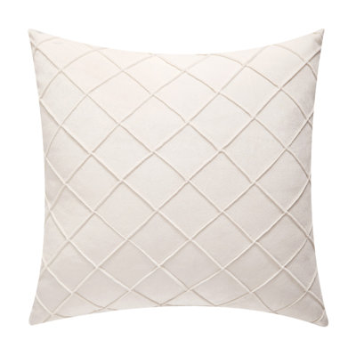 Housses de coussin en velours jetées (seulement sur la housse)