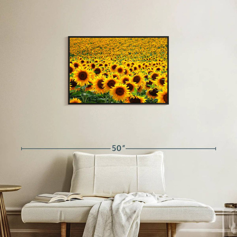 Champ de tournesols sans fin Alvord, H 21 po x l 31 po