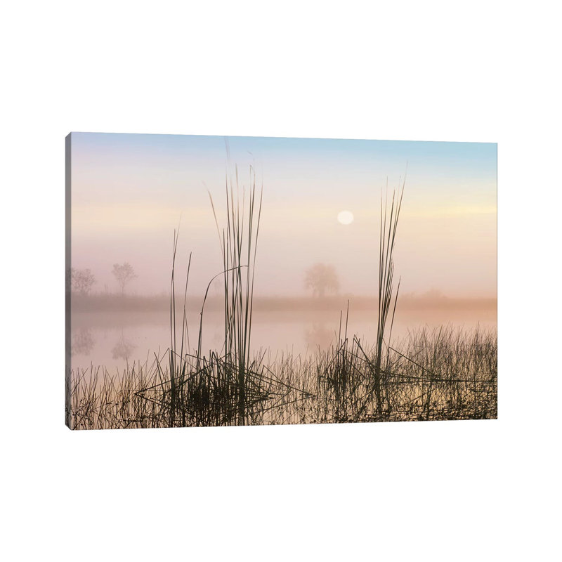 Reeds In Sweet Bay Pond, Everglades National Park, Florida by Tim Fitzharris - Wrapped Canvas Gallery-Wrapped Canvas Giclée