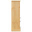 Freestanding Bathroom Cabinet