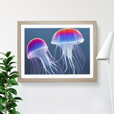 Jellyfish Vol.2 - Single Picture Frame Print