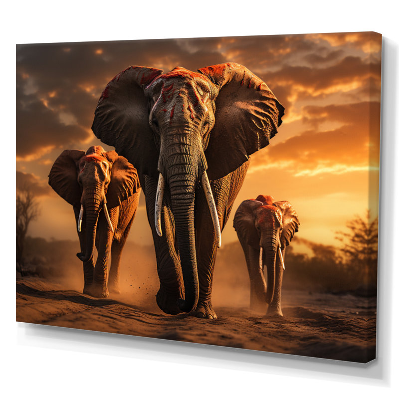 Photographie d'un éléphant d'Afrique au coucher du soleil I - reproduction sur toile, H 30 po x l 40 po, Toile tendue