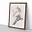 Passenger Pigeons by John Audubon - Framed Print-55578501-55578500