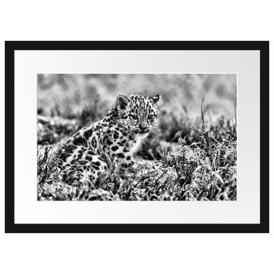 Gerahmtes Poster Junger Leopard im Gras