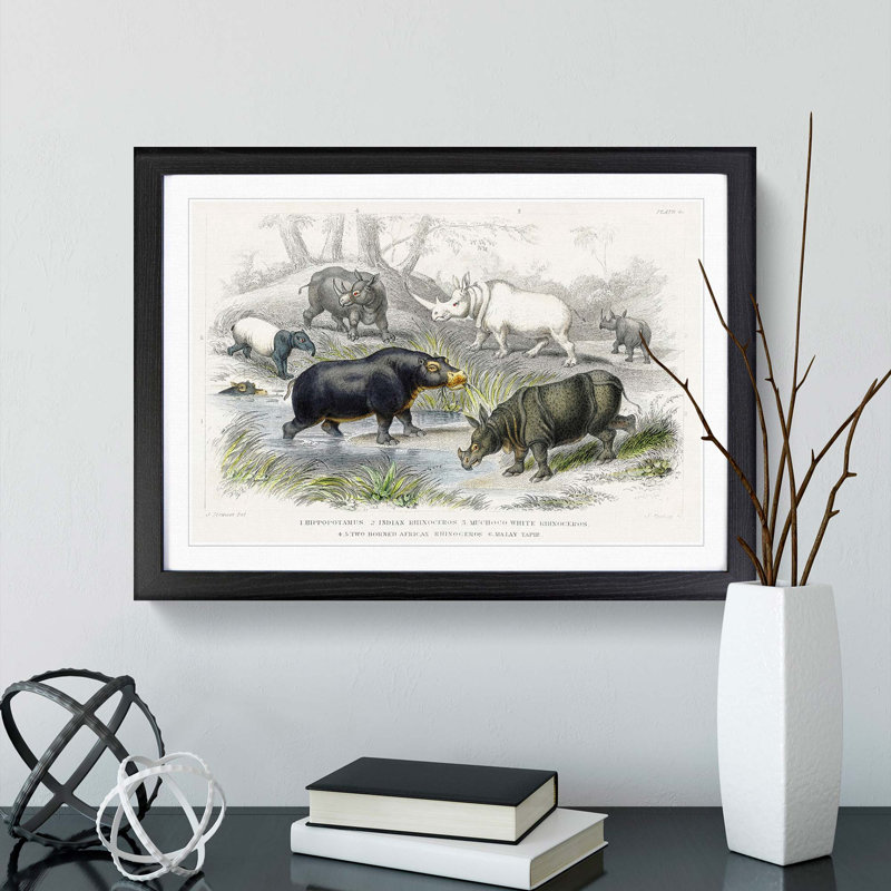 Hippopotamus and Rhinoceros by Oliver Goldsmith - Picture Frame Painting Print, 27cm H x 36cm W x 2cm D, Black Framed