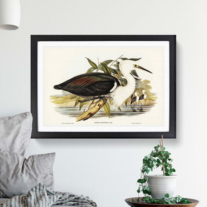 Pacific Herons by Elizabeth Gould - Picture Frame Painting Print, 36cm H x 48cm W x 2cm D, Black Framed