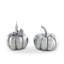 Harvest Salt And Pepper Shaker Set