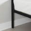 Lit Hoya-91069758-91069757