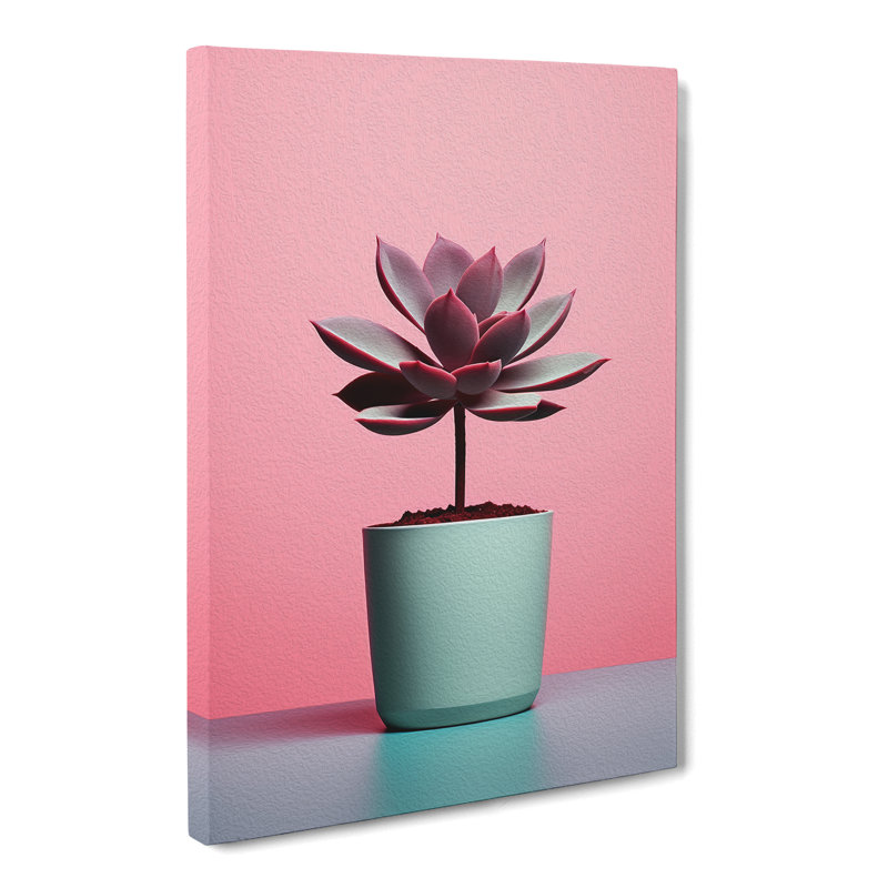 Succulent Minimalism - Print, 60cm H x 40cm W x 3cm D
